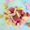 Mixed Freeze-Dried Fruit Crisps Snack Pack