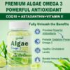 Immune Support Omega D3 Gummies
