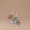 Household Stainless Steel Food Scissors